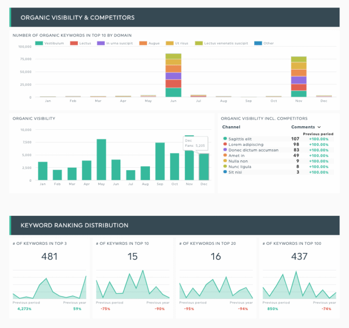 Search Engine Ranking Reports